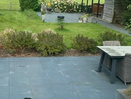 Planten tuin met witte bloemen, Tuin en Terras, Planten | Tuinplanten, Vaste plant, Halfschaduw, Lente, Ophalen