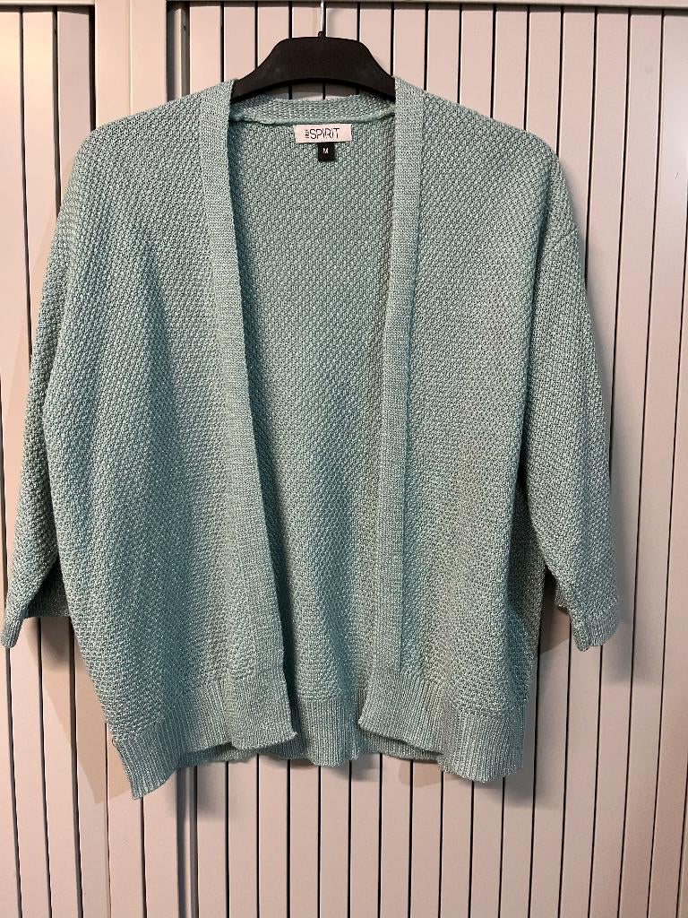 Zeegroen kleurig glitter Vestje, Ophalen of Verzenden, Nieuw, Maat 38/40 (M), Groen