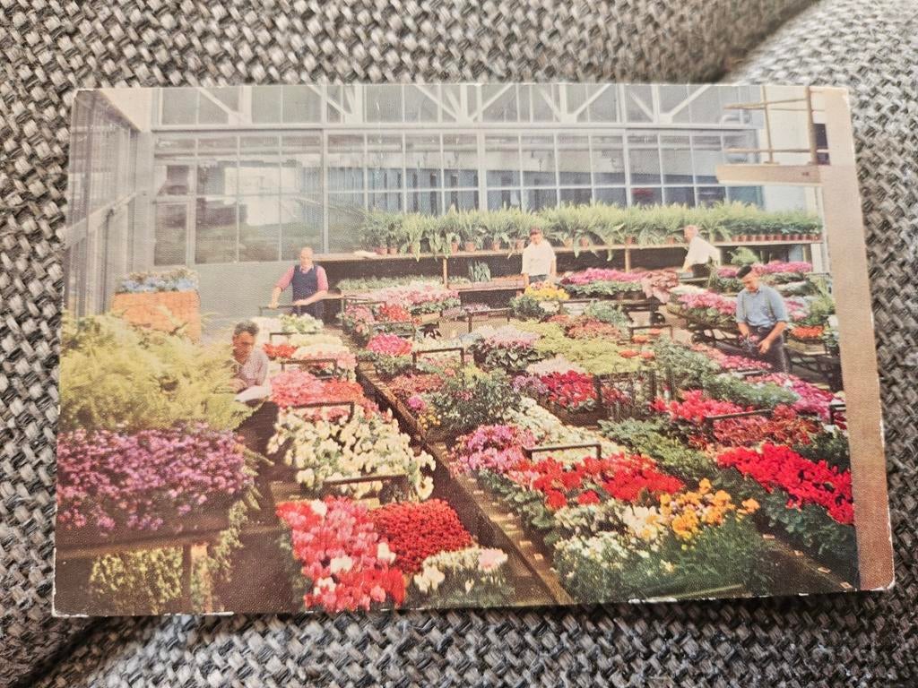 bloemenveiling Aalsmeer 1958, Ophalen of Verzenden, 1940 tot 1960, Gelopen, Noord-Holland