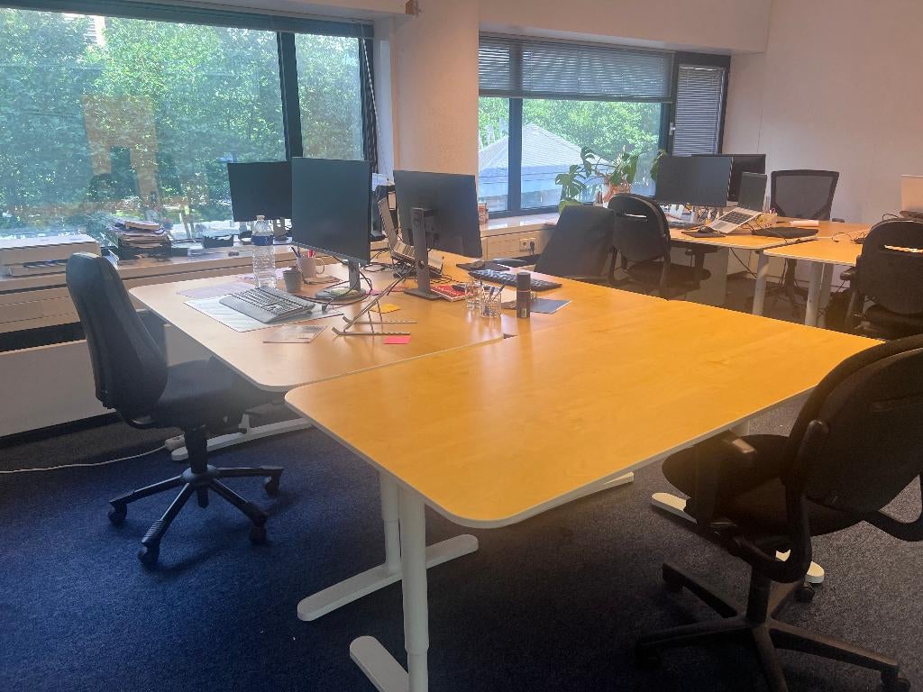 Ikea Bekant Bureau 160x80 cm | Hoogte verstelbaar, Ophalen, In hoogte verstelbaar, Gebruikt