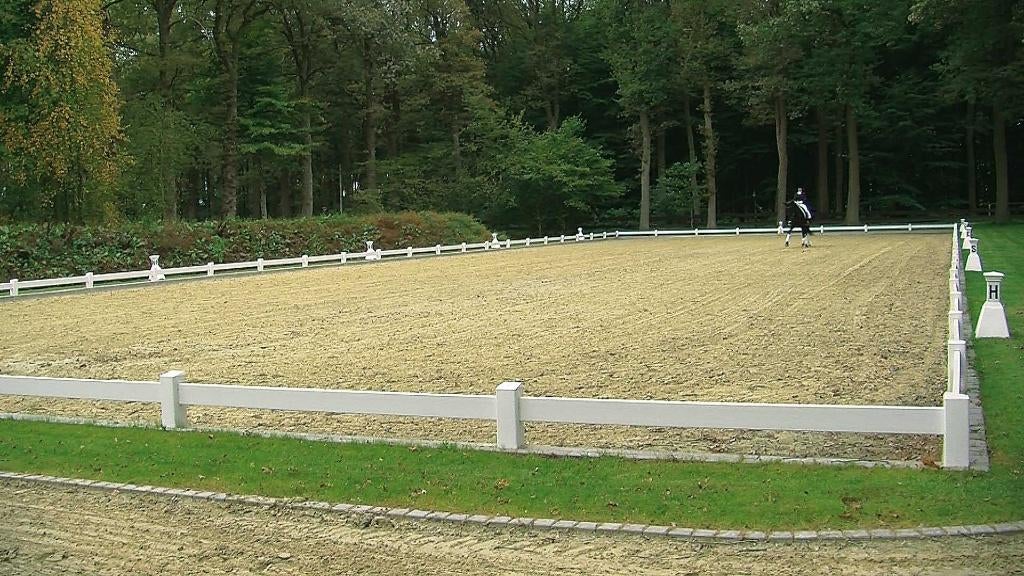 Kunststof dressuurpistes, permanente dressuurring, rijbakomr, Dieren en Toebehoren, Ophalen of Verzenden, Nieuw, Dressuur