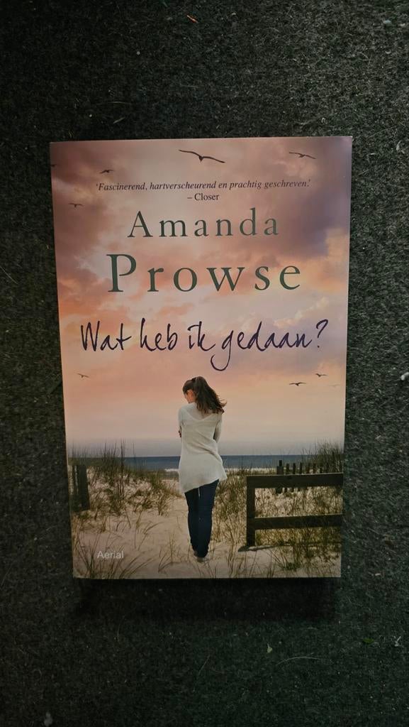 Amanda Prowse - Wat heb ik gedaan?, Ophalen of Verzenden, Zo goed als nieuw, Amanda Prowse
