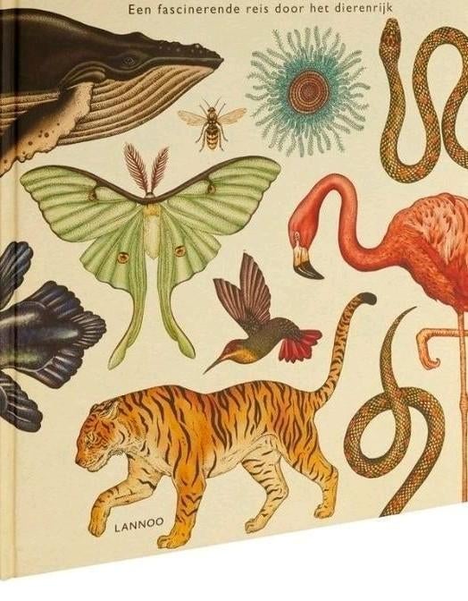 Gezocht:dieren-/bloemenboek etc. met getekende illustraties, Ophalen, Gelezen, Overige diersoorten