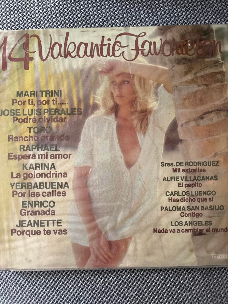 Vinyl Plaat - Muziekcollectie, Ophalen of Verzenden, Gebruikt, 12 inch