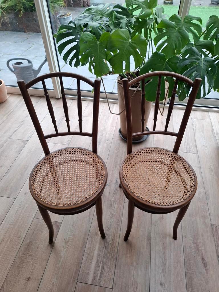 Thonet stoeltjes, Antiek en Kunst, Antiek | Meubels | Stoelen en Banken, Ophalen of Verzenden