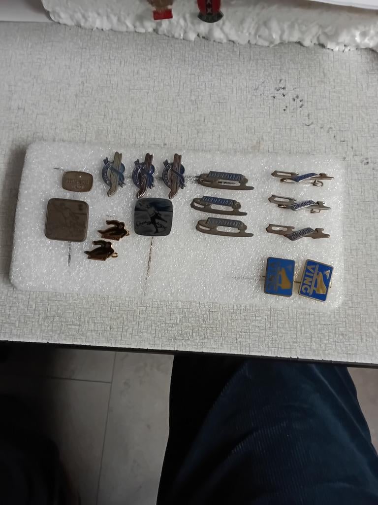 Verzameling verschillende schaats speldjes, Verzamelen, Speldjes, Pins en Buttons, Ophalen of Verzenden, Gebruikt, Overige onderwerpen