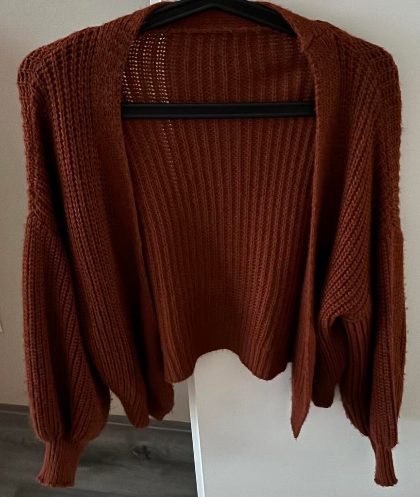 Leuk nieuw vest, Ophalen of Verzenden, Nieuw, Maat 38/40 (M), Bruin