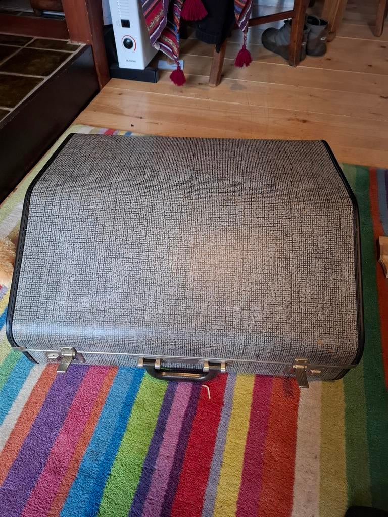 Weltmeister accordeon, Muziek en Instrumenten, Ophalen of Verzenden, Overige merken