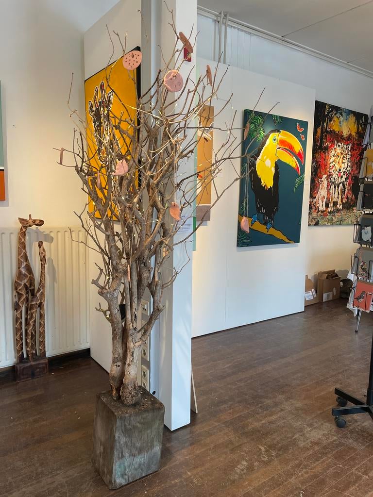 Boomtakken met stronk als decoratiemateriaal, Huis en Inrichting, Woonaccessoires | Zuilen en Pilaren, Ophalen, Zo goed als nieuw