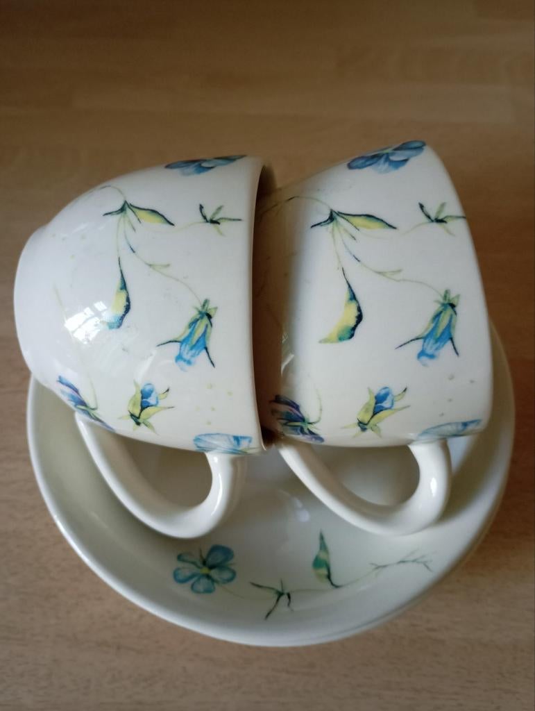 Jet ter Steege 2 kop & schotels, Nieuw, Ophalen of Verzenden, Overige stijlen, Kop(pen) en/of Schotel(s)