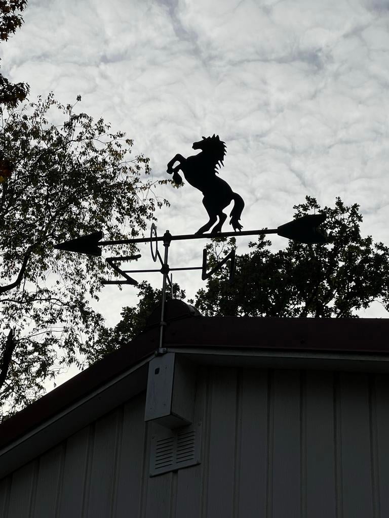 Windwijzer paard, Tuin en Terras, Windwijzers en Windmolens, Ophalen, Zo goed als nieuw