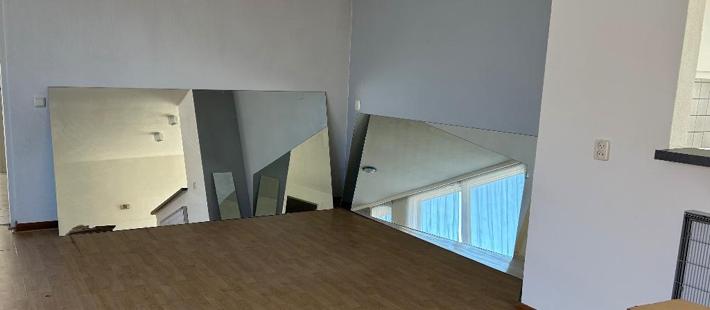 Spiegels, pas spiegel, Huis en Inrichting, Woonaccessoires | Spiegels, Ophalen, 200 cm of meer, Zo goed als nieuw, 100 tot 125 cm