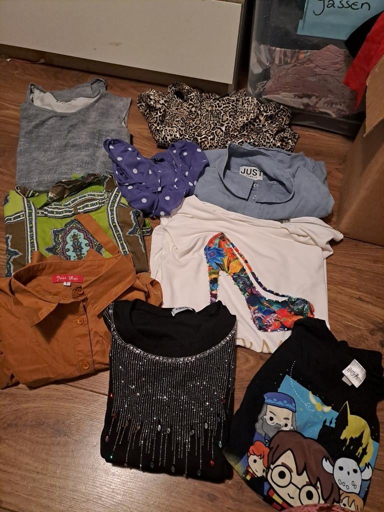 Groot Dames Kledingpakket - ca. 60 Stuks XS t/m XXL, Ophalen, Gedragen, Maat 34 (XS) of kleiner