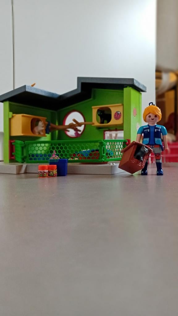 Katten opvang, Ophalen of Verzenden