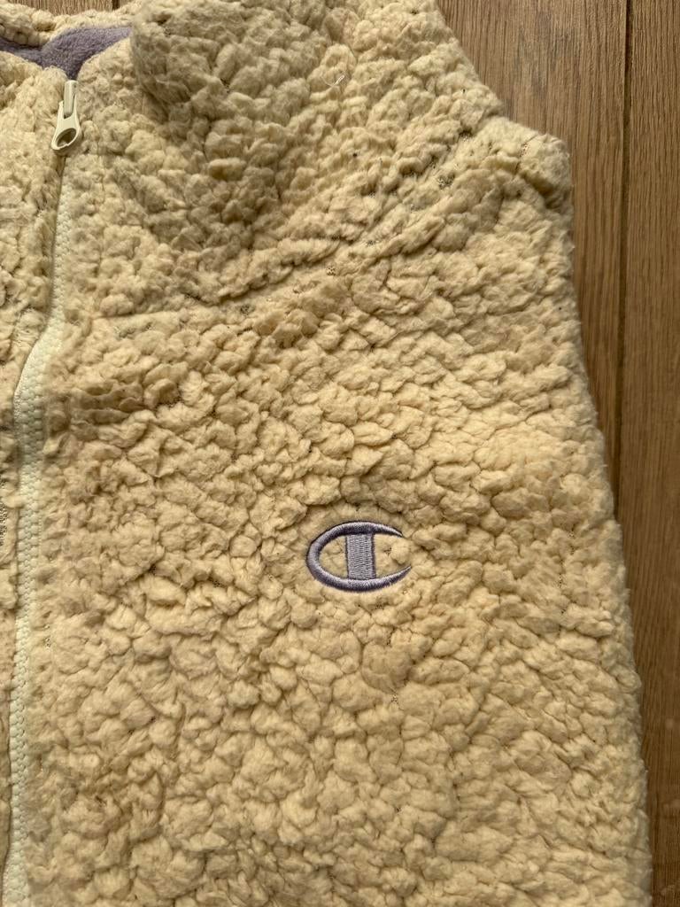 Champion wollen quarterzip, Ophalen of Verzenden, Gedragen, Maat 38/40 (M), Beige
