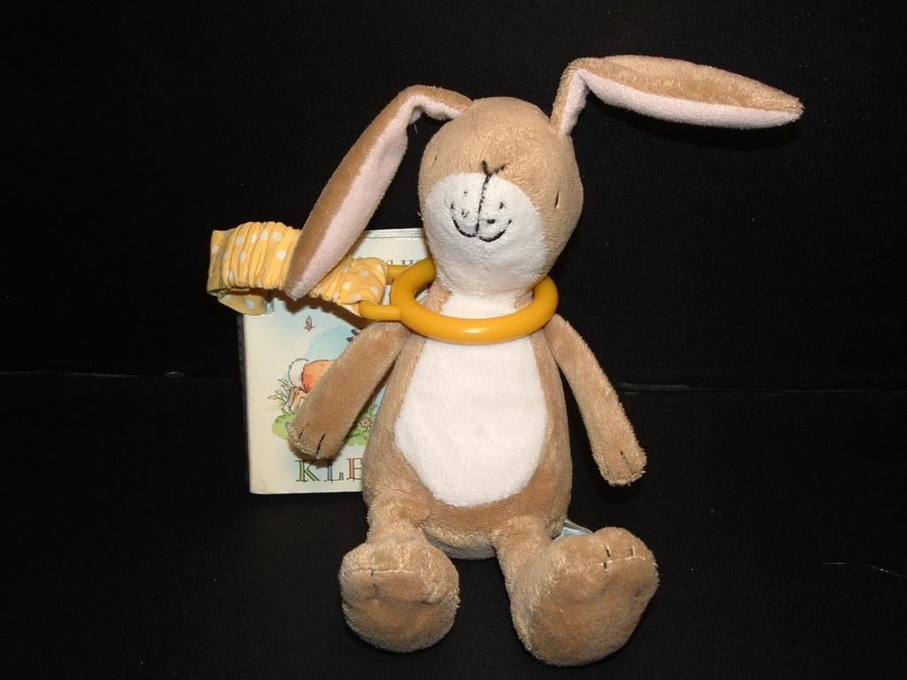 RAINBOW DESIGN HAZELTJE HAAS/KONIJN KLEINE UITVOERING,, Ophalen of Verzenden, Nieuw, Overige typen