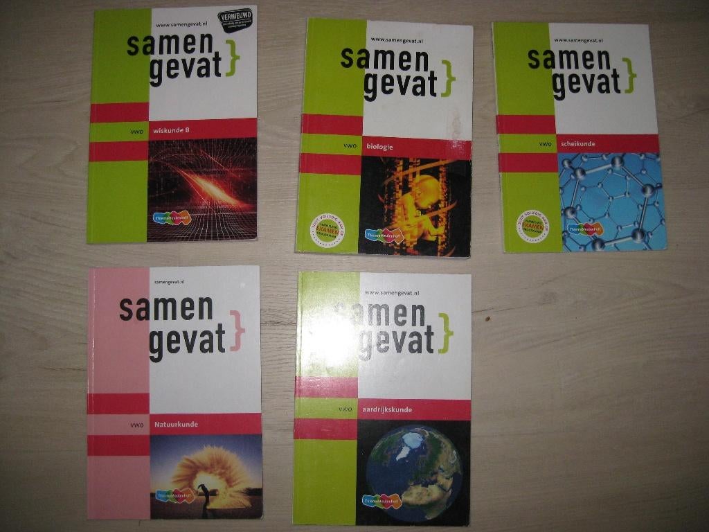 EXAMEN VWO? Samengevat-boeken per boek 6 euro, Boeken, Ophalen of Verzenden, Zo goed als nieuw, VWO
