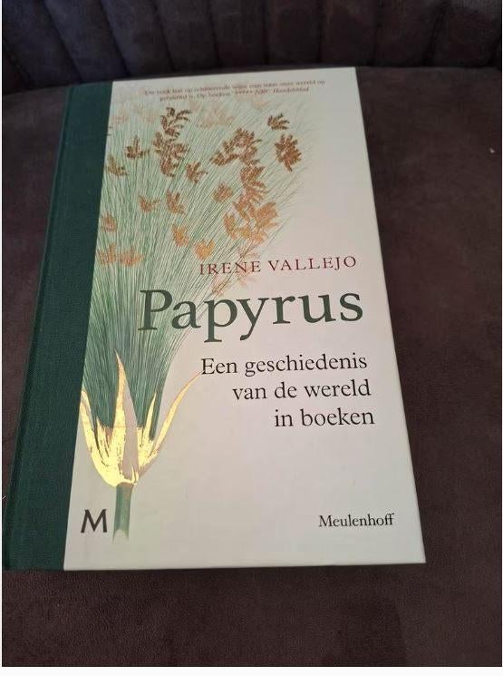 Papyrus - Irene Vallejo, Ophalen, Zo goed als nieuw, Europa