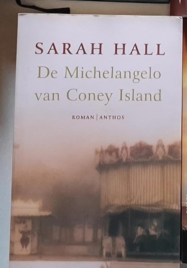 Hall Sarah : De Michelangelo van Coney Island, Ophalen of Verzenden, Zo goed als nieuw, Hall Sarah