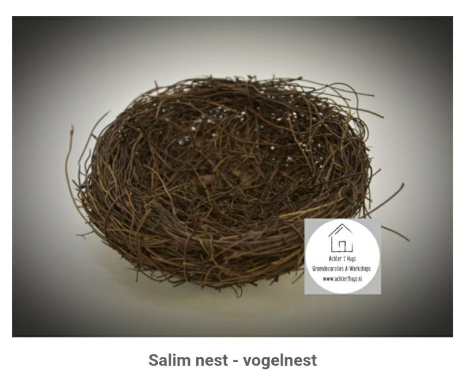 Salim nest - vogelnest - nestje - voorjaar- pasen - krans, Ophalen of Verzenden, Nieuw