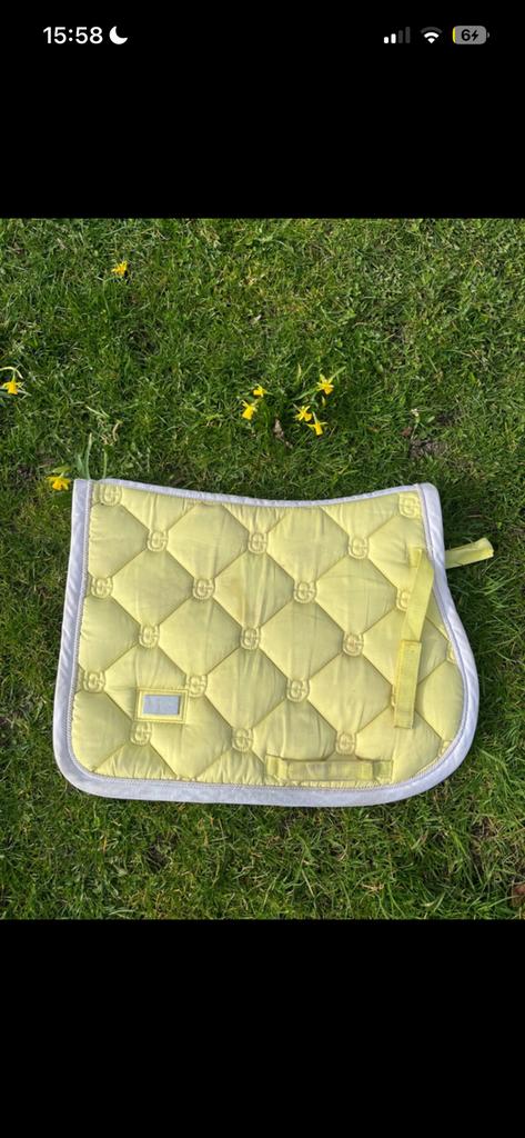 Equestrian stockholm dekje pony springen geel soft lemon, Dieren en Toebehoren, Paarden en Pony's | Dekens en Dekjes, Ophalen of Verzenden