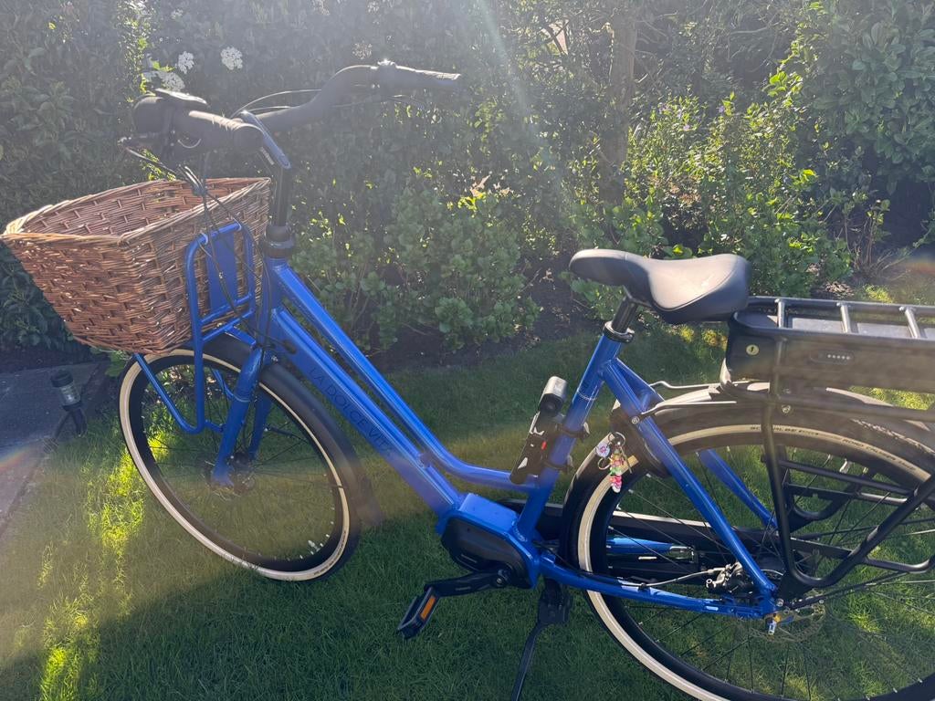 BSP La Dolce Vita E-volt  (E-bike transport) Nieuwstaat!, Gebruikt, 50 km per accu of meer, 55 tot 59 cm, Ophalen