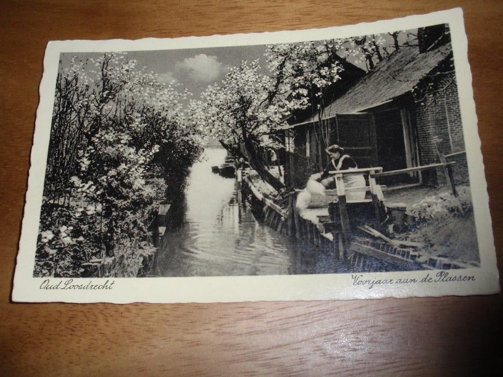 Oud Loosdrecht Voorjaar aan de Plassen, Verzenden, 1920 tot 1940, Ongelopen, Noord-Holland