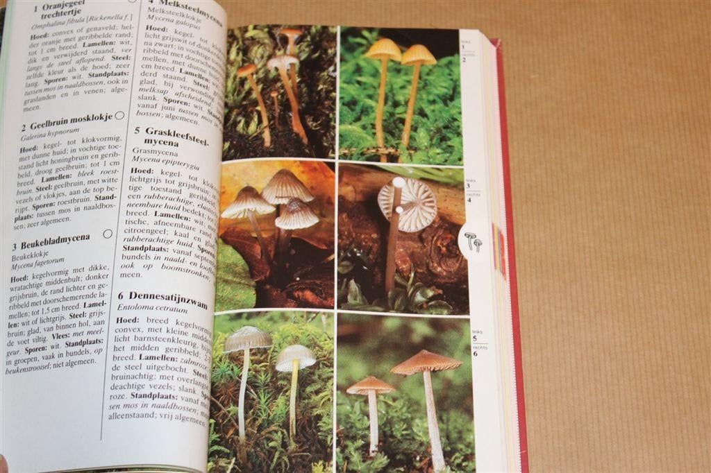 Paddestoelen — Geïllustreerde Veldgids, Ophalen of Verzenden, Gelezen, Natuur algemeen