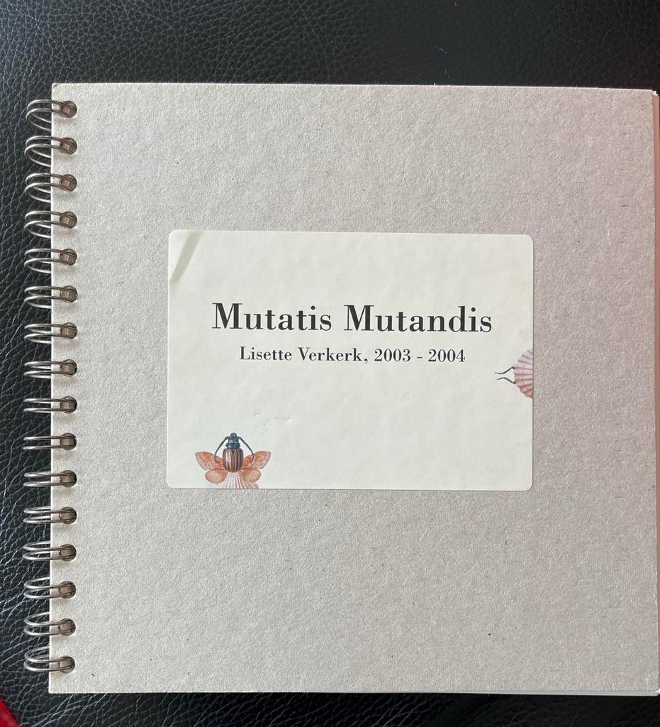 Zeldzaam! Mutatis Mutandis Lisette Verkerk 2003-2004, Ophalen of Verzenden, Zo goed als nieuw, Schilder- en Tekenkunst