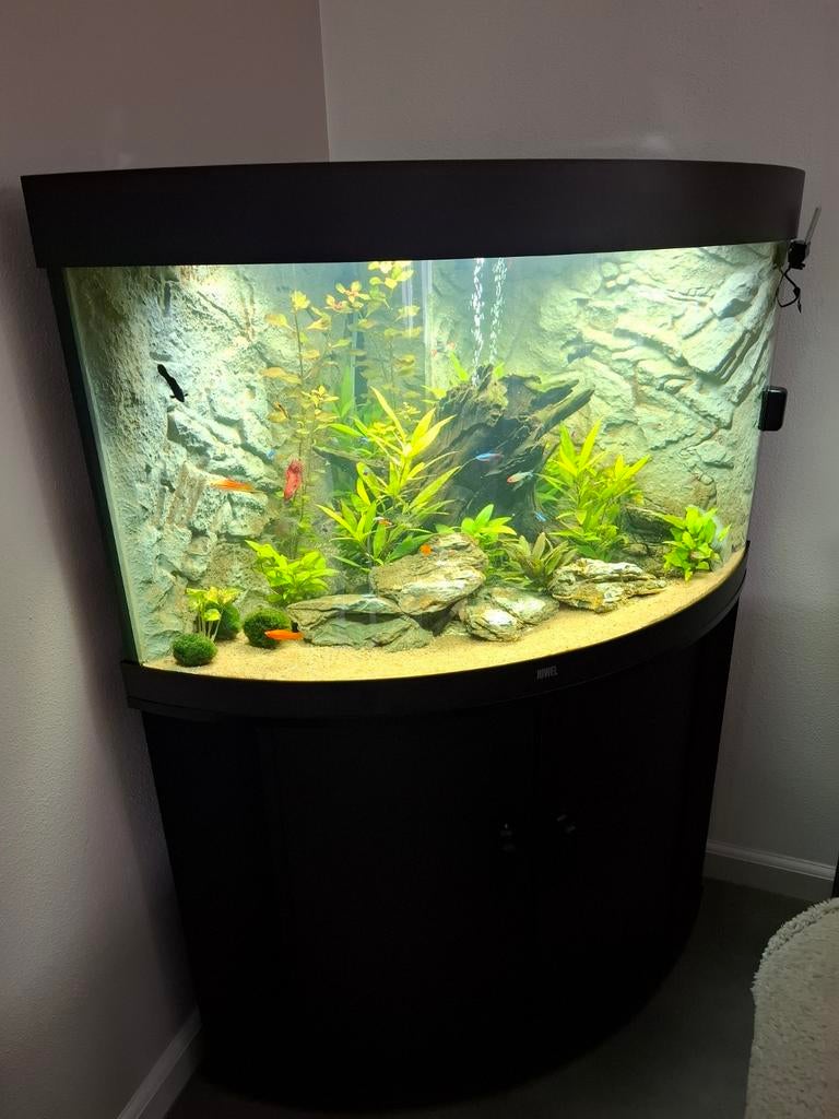 Aquarium juwel trygon 190 (6 weken) ZGAN met kast, Dieren en Toebehoren, Vissen | Aquaria en Toebehoren, Zo goed als nieuw, Leeg aquarium