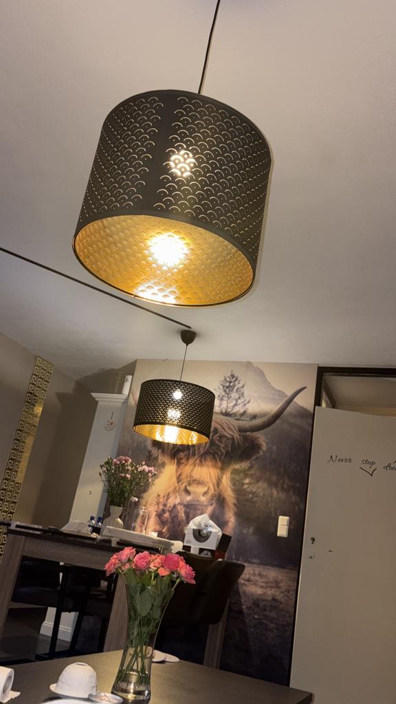 Nymo lampen ikea, Huis en Inrichting, Lampen | Hanglampen, Ophalen of Verzenden, Zo goed als nieuw, Minder dan 50 cm