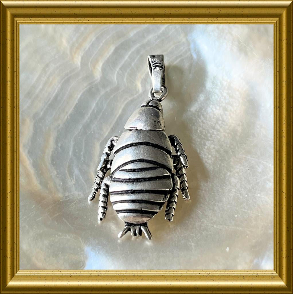 Oude zilveren hanger: kever/ kakkerlak, Ophalen of Verzenden, Zilver, Hanger