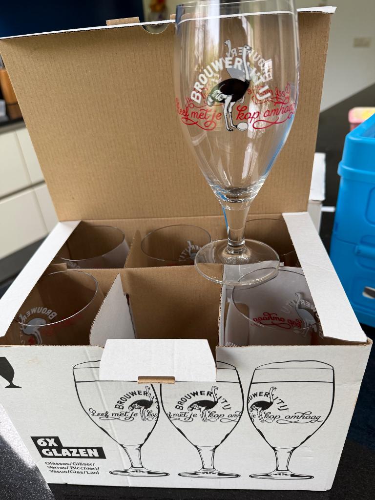 Bierglazen, Brouwerij r IJ, Ophalen of Verzenden, Nieuw, Glas of Glazen, Overige merken