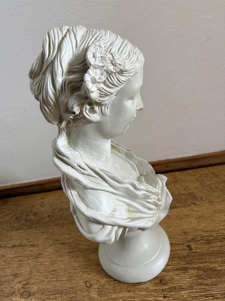 Buste charmante vrouw, Ophalen