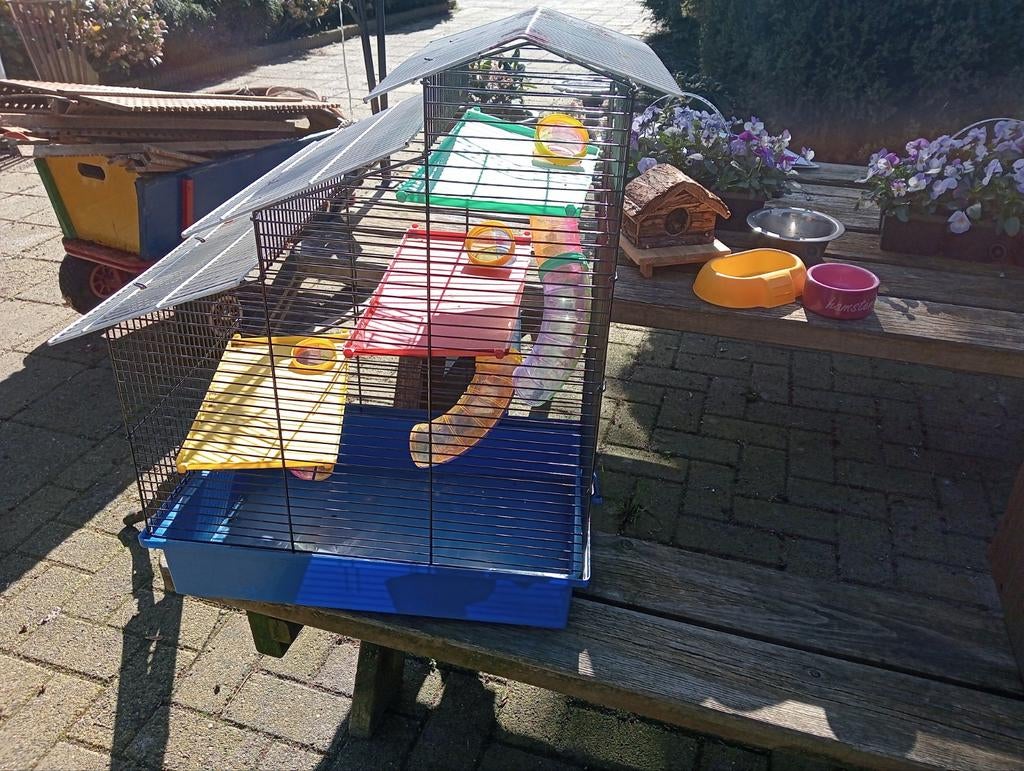 Hamster hok met toebehoren, Dieren en Toebehoren, Minder dan 75 cm, Ophalen, Minder dan 60 cm, Hok