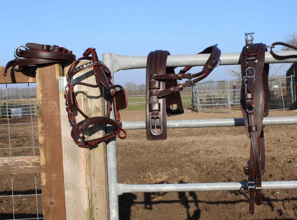 Te koop bruin mini shetlander mentuig, Ophalen of Verzenden, ., ., Nieuw