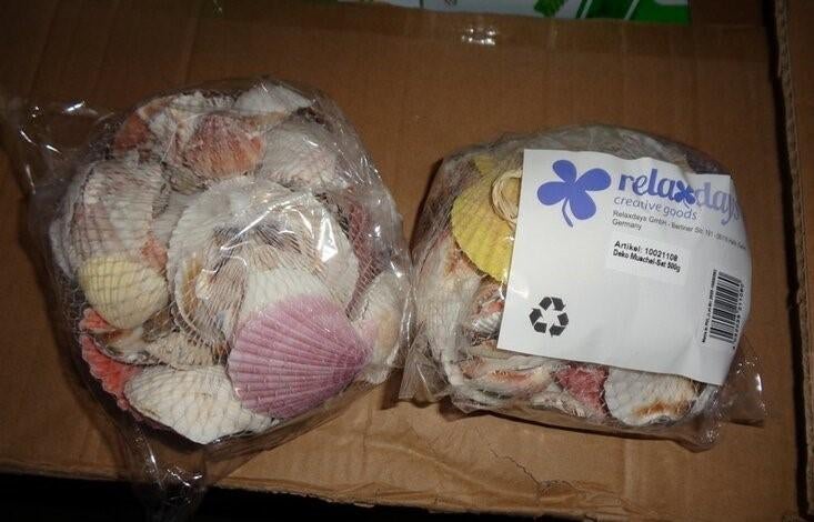 PARTIJ RELAXDAYS DECO SCHELPENSET 500 GRAM, ., Nieuw, Ophalen of Verzenden, .