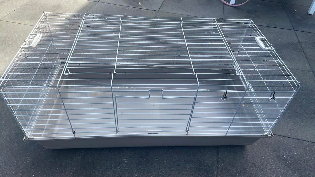 Konijnenhok, Dieren en Toebehoren, Konijnen, Vrouwelijk, 3 tot 5 jaar