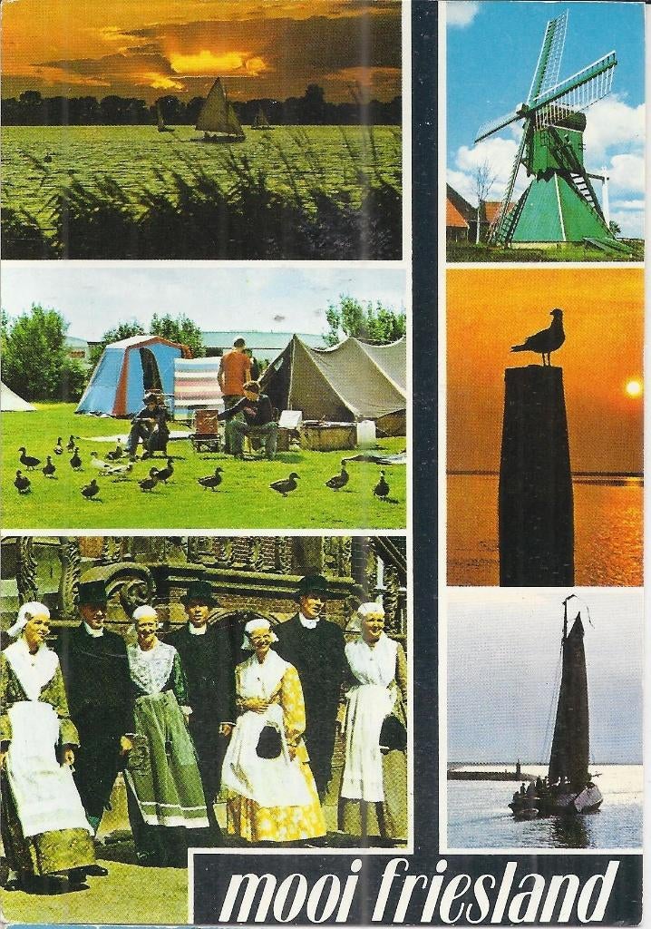 Q345 Gelopen ansichtkaart mooi Friesland, Verzamelen, Ansichtkaarten | Nederland, Ophalen of Verzenden, 1980 tot heden, Gelopen