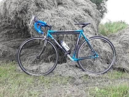 Giant cadex 52 cm, Ophalen, 28 inch, Gebruikt, Carbon