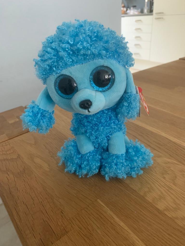 Beanie Boo Patsy de poedel, Ophalen, Zo goed als nieuw, Hond