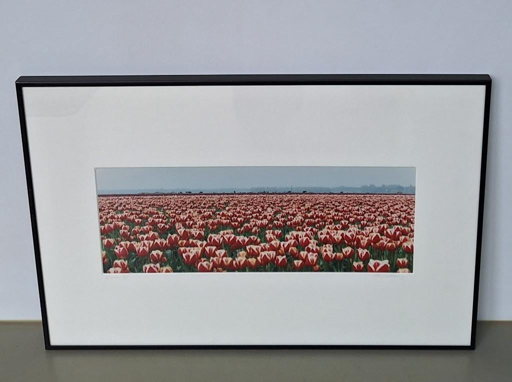 kunstfoto Elly Valkering Limmen tulpen bollenveld gesigneerd, Ophalen of Verzenden