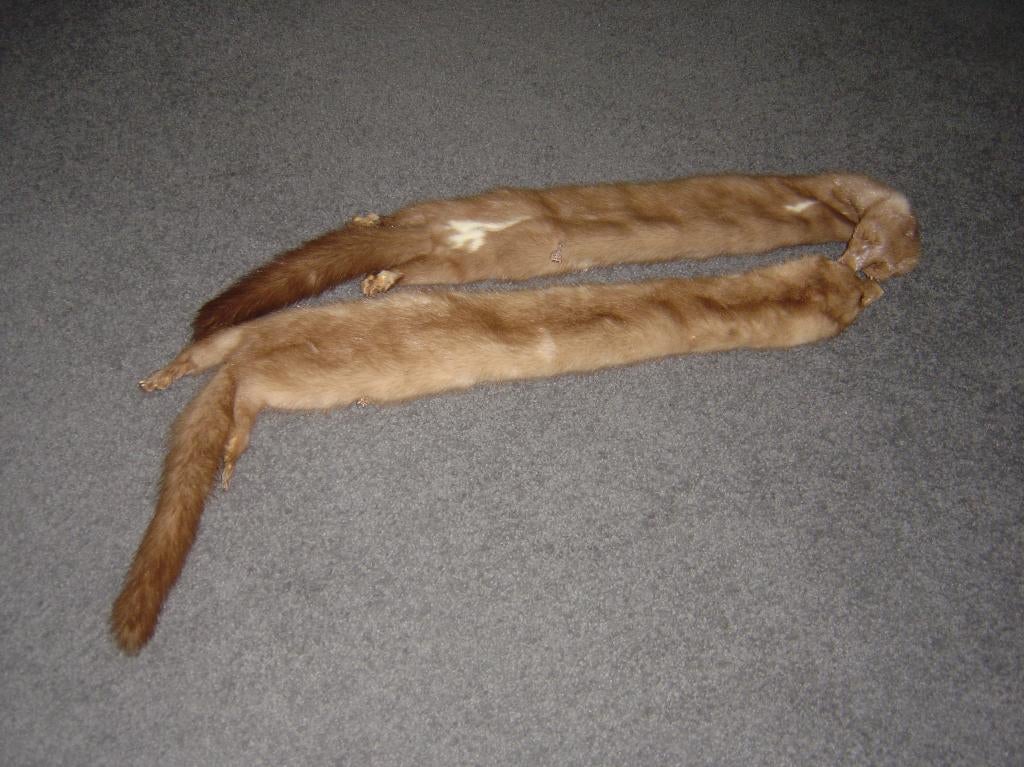 Bontkraag nerts, Ophalen of Verzenden, Zo goed als nieuw, Sjaal