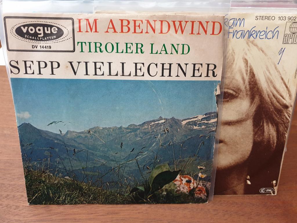 Sepp Viellechner - Im Abendwind (x19), Ophalen of Verzenden, Gebruikt, Pop