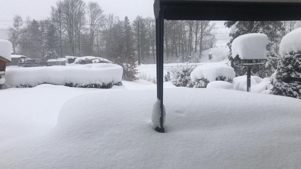 Chalet in Leogang 10 pers. Saalbach-Hinterglemm, 4 of meer slaapkamers, Salzburgerland, Dorp, Eigenaar