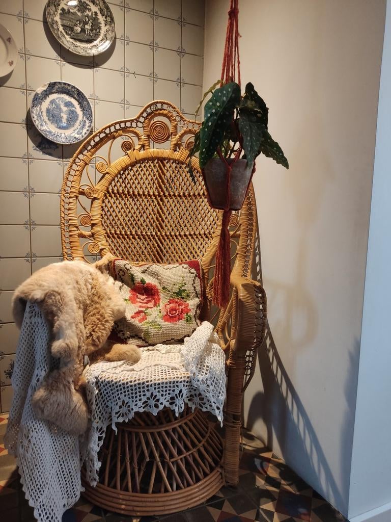 Rotan Vintage Retro Pauwenstoel groot. Heel gaaf exemplaar!, Ophalen, Zo goed als nieuw, Bruin, Eén