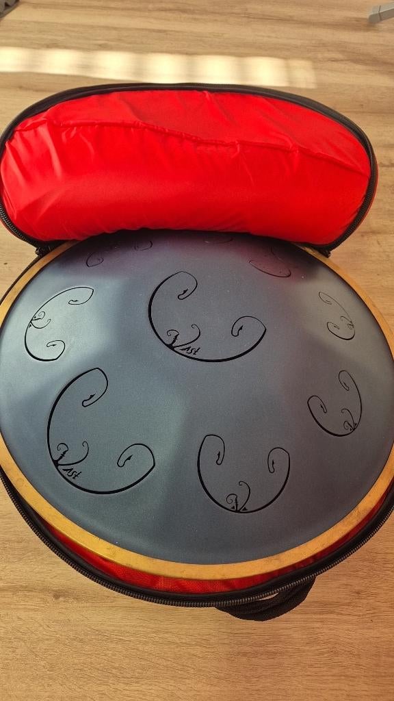 Handpan RAV Vast, Ophalen, Zo goed als nieuw, Melodische percussie