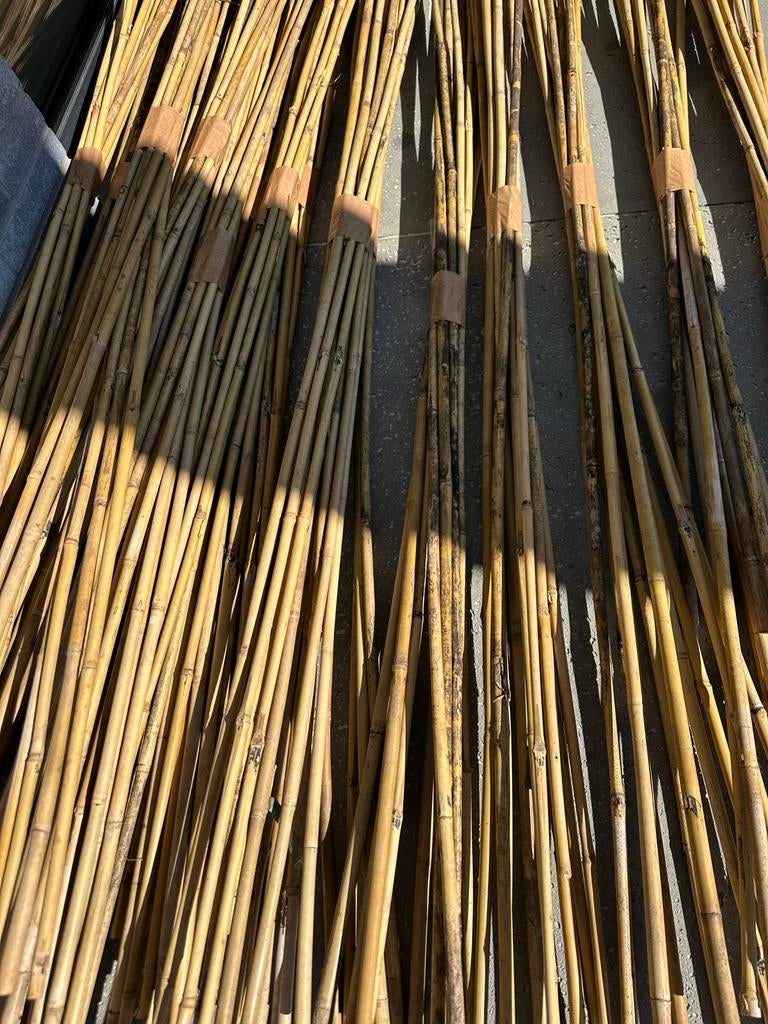 Stevige bamboestokken 180 cm - ideaal voor moestuin, Ophalen, Gebruikt