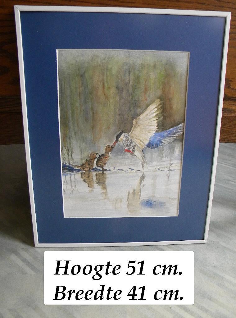 AQUAREL VOGELS IN LIJST MET GLASPLAAT, Ophalen of Verzenden
