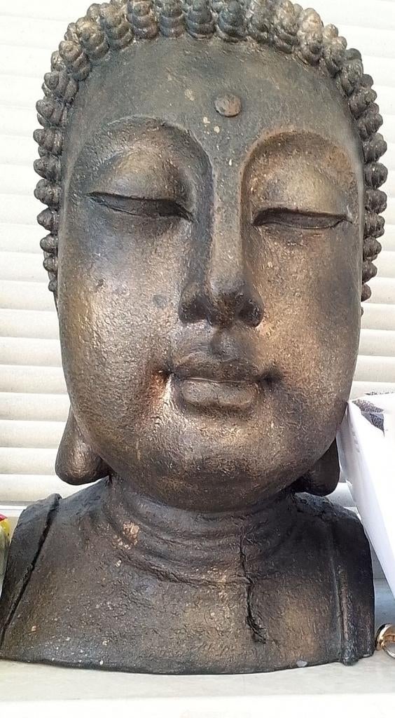 Boeddha hoofd niet gratis!, Ophalen of Verzenden